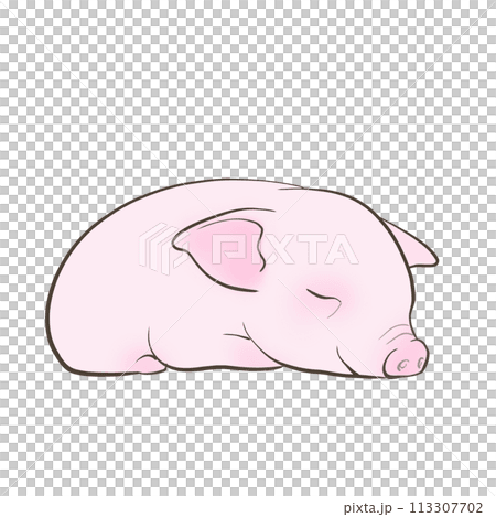 かわいい子豚のイラスト 113307702