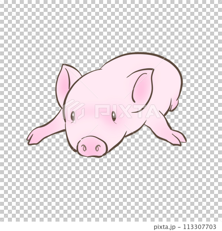 可愛的小豬插畫 可愛的小豬插畫 113307703