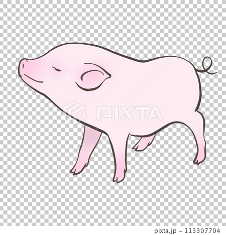 かわいい子豚のイラスト 113307704