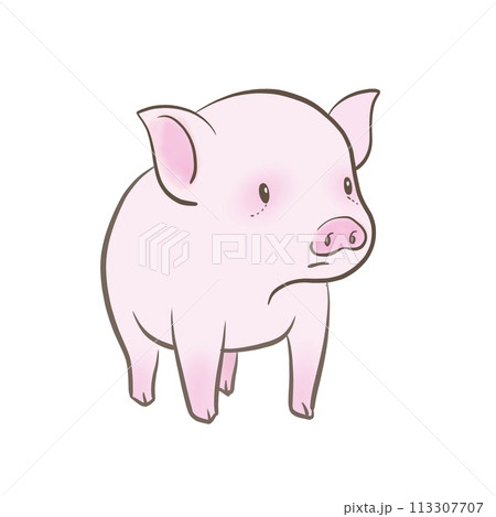 かわいい子豚のイラスト かわいい子豚のイラスト 113307707