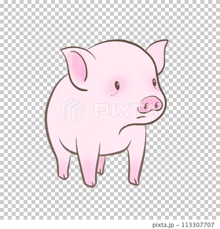 かわいい子豚のイラスト かわいい子豚のイラスト 113307707
