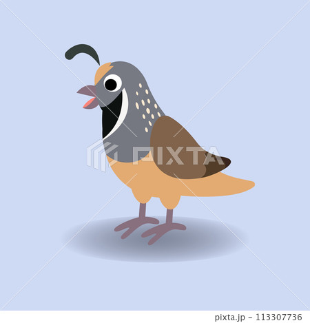 Cute Quail vector illustration.Happy Quail cartoon.Alphabet animal concept 113307736