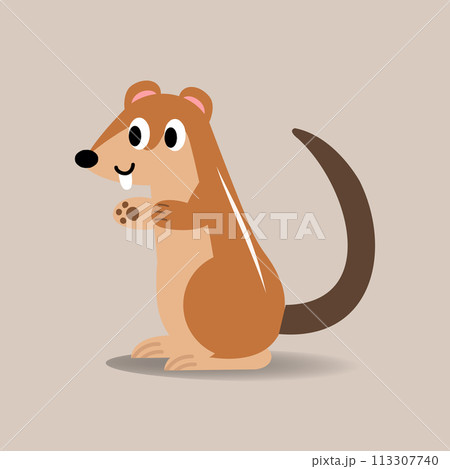 Xerus cartoon Flat style.animal vector illustration.Squirrel with brown background.Animal start with X letter. 113307740