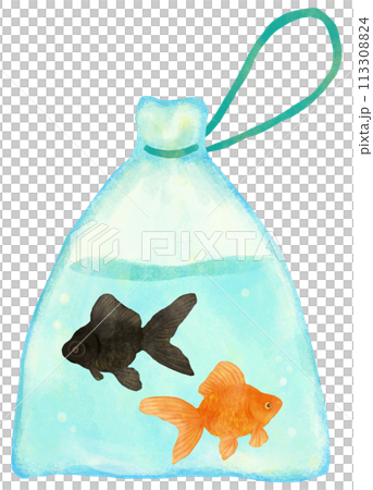 金魚すくい 黒出目金と琉金 金魚すくい 黒出目金と琉金 113308824