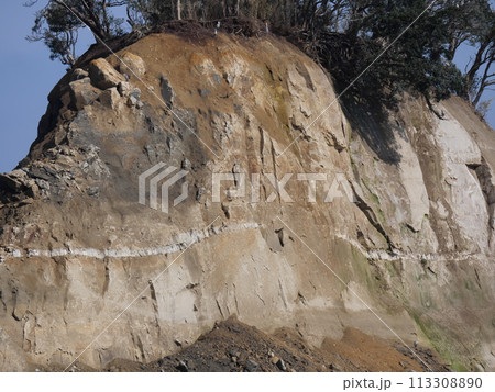 令和 6年能登半島地震 令和 6年能登半島地震 113308890