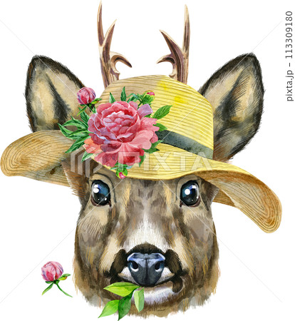 Watercolor portrait of a roe deer in summer hat with flower on white background Watercolor portrait of a roe deer in summer hat with flower on white background 113309180