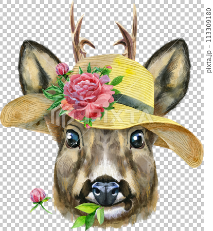 Watercolor portrait of a roe deer in summer hat with flower on white background Watercolor portrait of a roe deer in summer hat with flower on white background 113309180