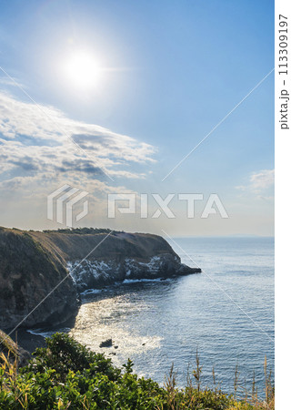 城ヶ島公園断崖 神奈川県三浦市城ヶ島 113309197