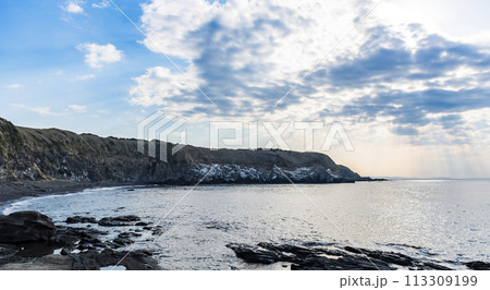城ヶ島公園断崖 神奈川県三浦市城ヶ島 城ヶ島公園断崖 神奈川県三浦市城ヶ島 113309199