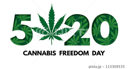 520 Cannabis Freedom Day at May 20. Banner, header, flyer, card or poster. Vector illustration isolated on white 520 Cannabis Freedom Day at May 20. Banner, header, flyer, card or poster. Vector illustration isolated on white 113309535