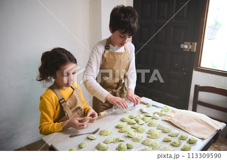 Adorable kids in the rural kitchen, rolling out dough with a wine bottle, sculpting dumplings with mashed potatoes filling. Cooking homemade vegetarian dumplings, Italian ravioli or Ukrainian varenyky 113309590
