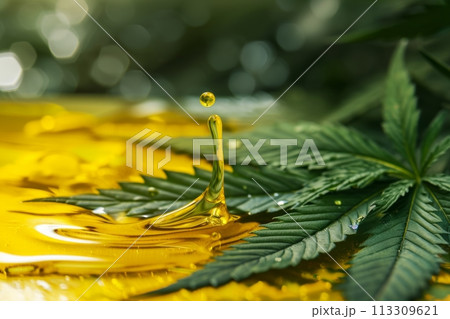 Cannabis leaf and cannabis yellow oil l splash, studio shot style. For cosmetic products based on hemp 113309621
