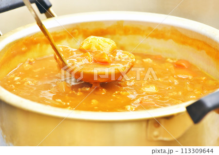大鍋で作るカレー　野外で作る料理　キャンプカレー　イメージ素材 113309644