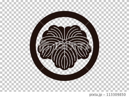 Circle with ivy 113309850