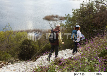 senior couple hiking outdoor, man and woman norwegian walking with sticks landscape 113310026