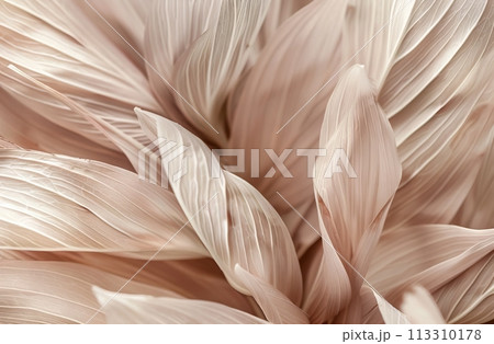 Beige Aesthetic Dried Leaves Delicate Background. Soft Wallpaper Texture of Transparent Macro Paper Leaves. 113310178