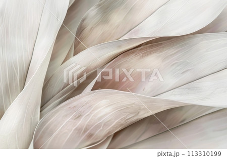 Beige Aesthetic Dried Leaves Delicate Background. Soft Wallpaper Texture of Transparent Macro Paper Leaves. 113310199