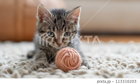Cute kitten playing with a ball of thread. Copy space. Cute kitten playing with a ball of thread. Copy space. 113310203