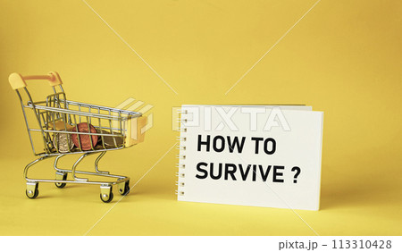 Text How to survive on a notepad on a yellow background, cart with coins Text How to survive on a notepad on a yellow background, cart with coins 113310428