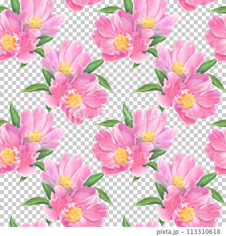 Seamless pattern of peony flowers and leaves drawn with colored pencils. 113310618
