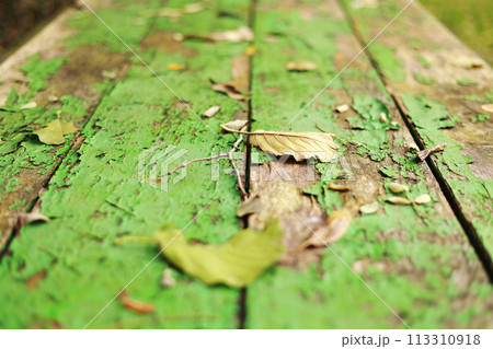 Autumn bright backdrop with arch of trees and old wooden table of boards with cracked green paint and yellow fallen leaves on it. Shabby grunge wood panels. Fall season concept in park. 113310918