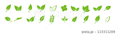 Green leaf icons set. Elements design for natural, eco, vegan. Leaves icon on isolated background. Collection green leaf. Vector Green leaf icons set. Elements design for natural, eco, vegan. Leaves icon on isolated background. Collection green leaf. Vector 113311209