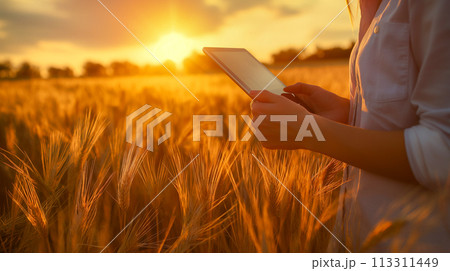 デジタル農業のコンセプト。AI技術を使った現代化農業のイメージ。 113311449