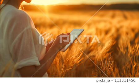 デジタル農業のコンセプト。AI技術を使った現代化農業のイメージ。 113311450