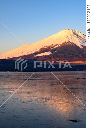 山中湖で見る早朝の富士山 113312198