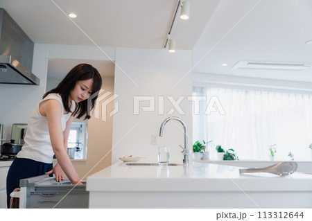 ビルトイン食洗機を使う若い女性 ビルトイン食洗機を使う若い女性 113312644