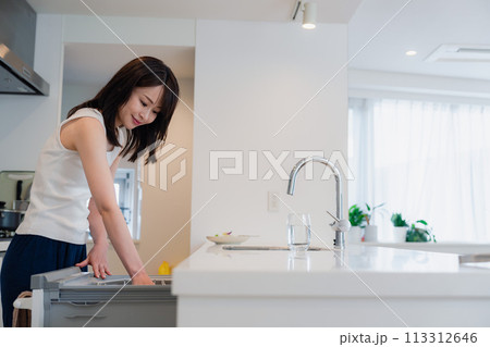 ビルトイン食洗機を使う若い女性 ビルトイン食洗機を使う若い女性 113312646