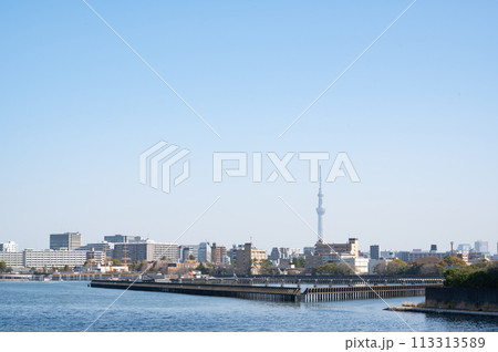 東京都豊洲周辺の運河の風景 113313589