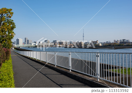 東京都豊洲周辺の運河の風景 113313592