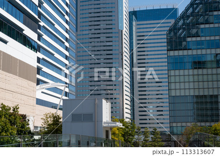 東京都豊洲周辺の高層ビルの風景 東京都豊洲周辺の高層ビルの風景 113313607