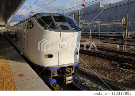 ローカル線・車両形式281系直流特急形車両・特急はるか 113313893