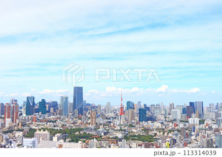 東京都、東京の街並みと東京タワーの風景 東京都、東京の街並みと東京タワーの風景 113314039