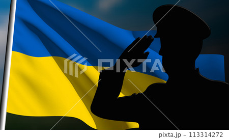 The silhouette of a soldier salutes the Ukrainian flag 113314272