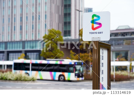東京BRT・国際展示場バス停の標識板 東京BRT・国際展示場バス停の標識板 113314619