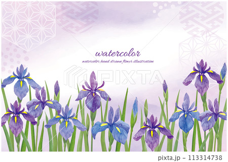 水彩手書きの菖蒲の花と和風の水彩背景 水彩手書きの菖蒲の花と和風の水彩背景 113314738