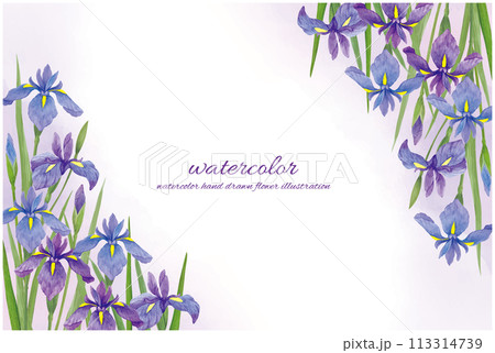 水彩手書きの菖蒲の花と水彩背景のイラスト素材 [113314739] - PIXTA