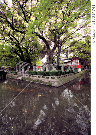 佐嘉神社外苑　水の町佐賀市の風景 113314741