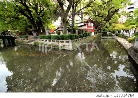 佐嘉神社外苑　水の町佐賀市の風景 113314764