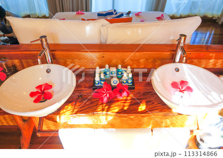 洗面台とハイビスカス 113314866