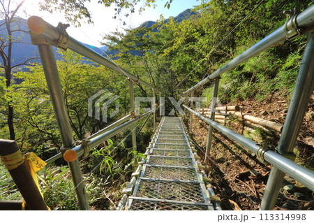 神奈川県・足柄上郡・千代の沢園地の橋 113314998