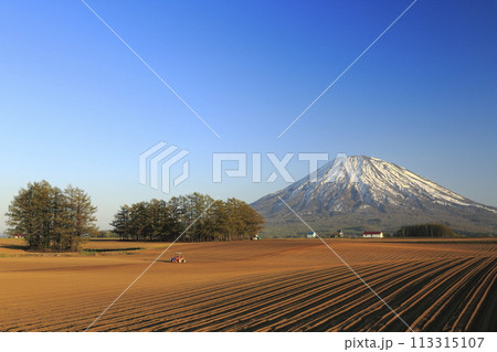 北海道倶知安町瑞穂から望む春耕の畑と羊蹄山 113315107