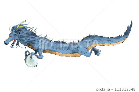 横向きのかっこいい龍のイラスト 113315349
