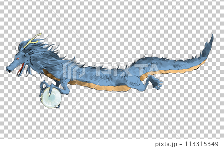 横向きのかっこいい龍のイラスト 113315349