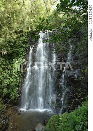 滝 瀧 瀑布 113315426
