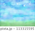 青い空と小鳥の背景 113315595