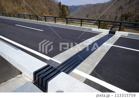 2024年開通した笠倉壁田橋、建築 113315759